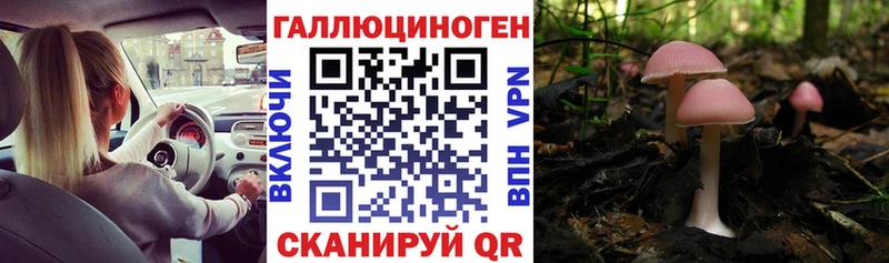 купить наркотик  Шумерля  Галлюциногенные грибы мицелий 
